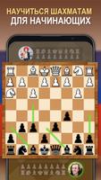 Настольная игра в шахматы скриншот 3