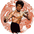 Martial Arts - Advanced Techni icon