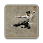 Martial Arts - Self Defense biểu tượng