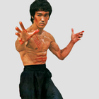 Martial Arts - Skill in Techni ikona