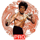 Martial Arts Pro - Advanced Te APK