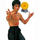 Martial Arts Pro - Skill in Te APK