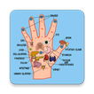 Master Acupressure - Su Jok icono