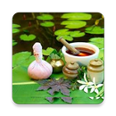 mAyurveda APK