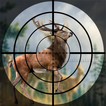 CLASSIC DEER HUNTER GAMES