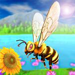 Honey Bee Insect Simulator icon