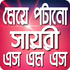 প্রেমের সায়রী أيقونة