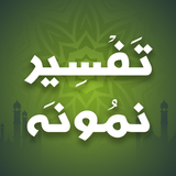 Tafseer e Namona ícone