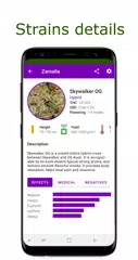 Descargar XAPK de Zamalia