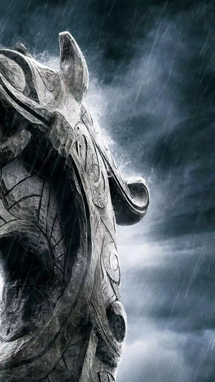 Tải xuống APK VIKINGS Wallpapers - HD 4K cho Android Tải xuống APK VIKINGS Wallpapers - HD 4K cho Android