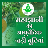 Maha gyani ki ayurvedicjadibut