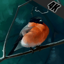 Bird wallpaper 4k hd APK
