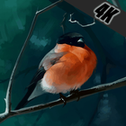 Bird wallpaper 4k hd simgesi