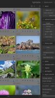 Dark table Photo Editor Lesson screenshot 2