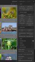 Dark table Photo Editor Lesson screenshot 3