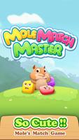 Mole Match Master Affiche