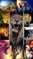 Lion Wallpapers lion HD Affiche