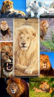 Lion Wallpapers lion HD capture d'écran 1
