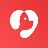 Kitty Kitty: Pet Ekosistemi