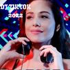 DJ TIKTOK 2022 APK