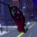 Spider Monkey