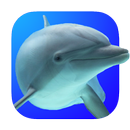 UwEdit - Diving footage editor APK