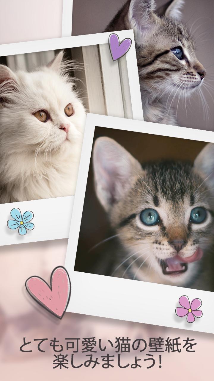 Android 用の 猫 ライブ壁紙アプリ Apk をダウンロード