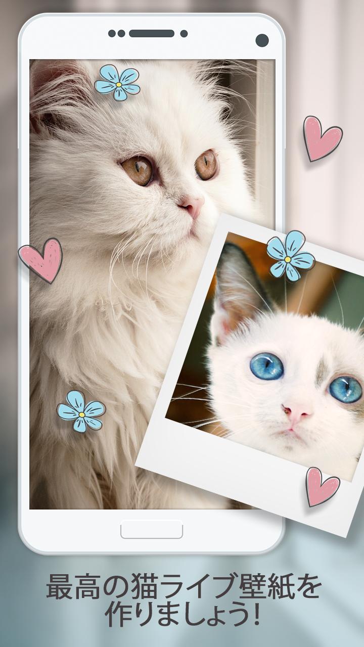Android 用の 猫 ライブ壁紙アプリ Apk をダウンロード