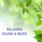 Relaxing Music and Sound icône