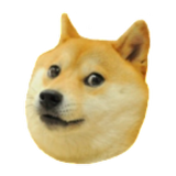 Doge 2048 icône