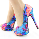 Ladies Shoes Collection APK