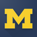 Michigan Wolverines Football N APK