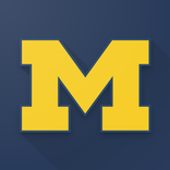 Michigan Wolverines Football N