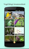 100 Vogelstimmen Plakat