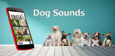 50 sonidos de perros