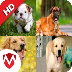 Descargar APK de 50 sonidos de perros