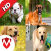 50 Dog sounds APK