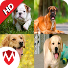 50 sonidos de perros icono