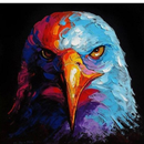 What Animal are You? APK