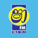 Shaa FM icône