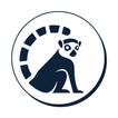 Audit icon