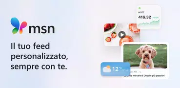 MSN