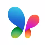 APK MSN