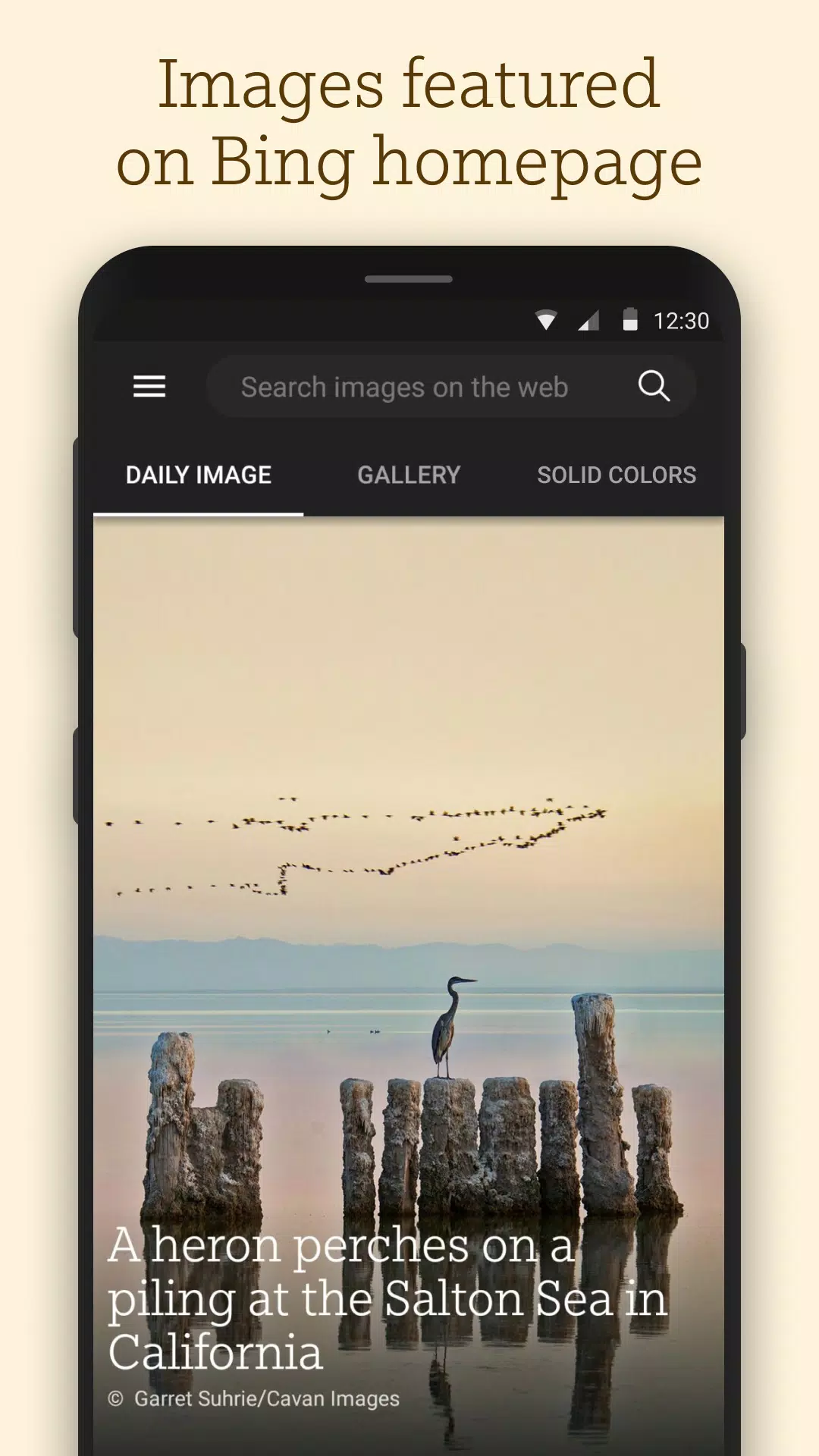 Tải xuống APK Bing Wallpapers cho Android Tải xuống APK Bing Wallpapers cho Android