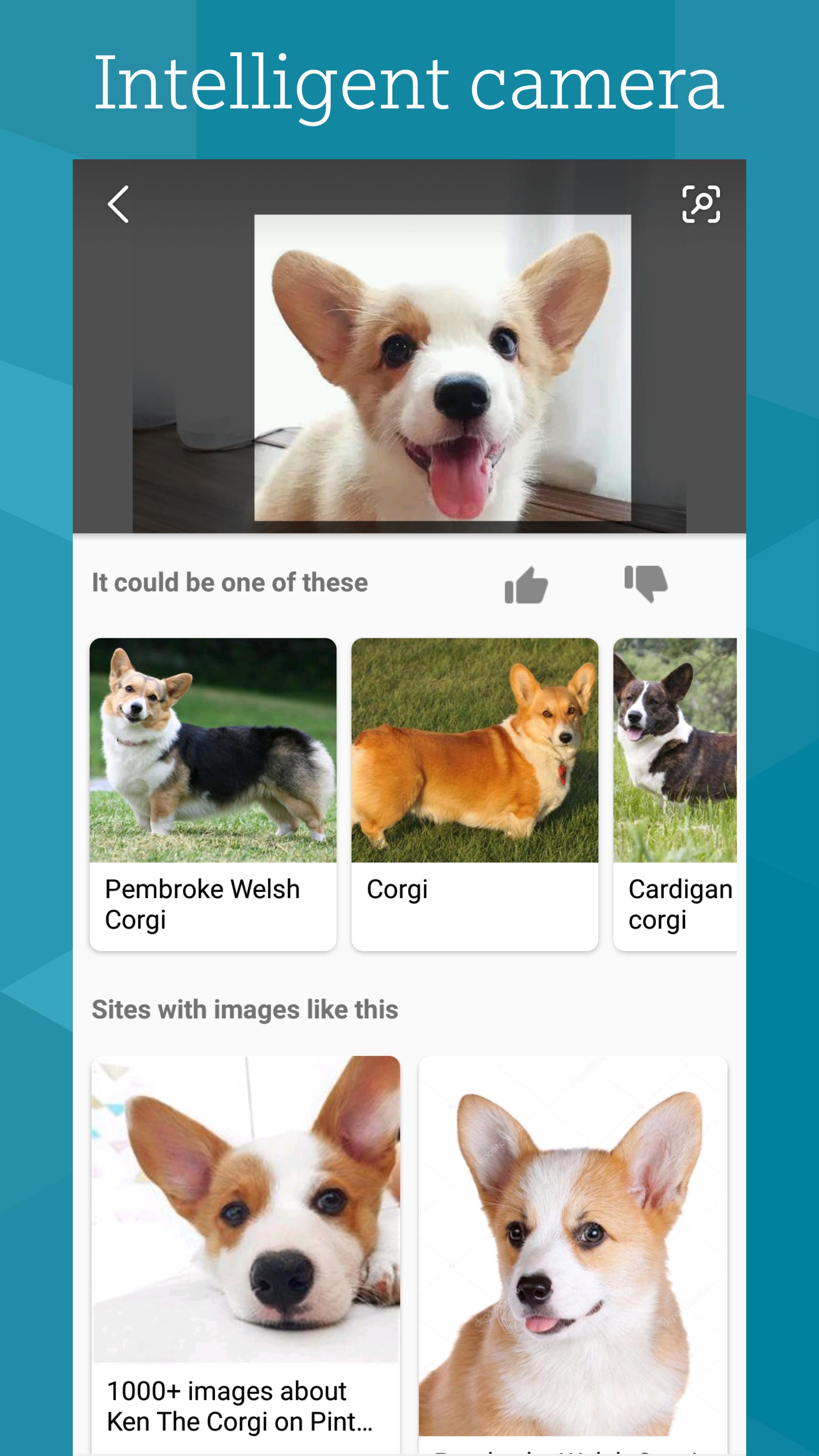 Microsoft Bing Search For Android Apk Download - roblox feed your pet how to get the corgi old