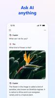 ​​Microsoft Copilot screenshot 1