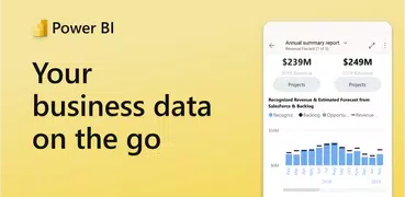 Microsoft Power BI