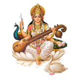 Chetna Manch ícone