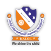 Joyful International Academy