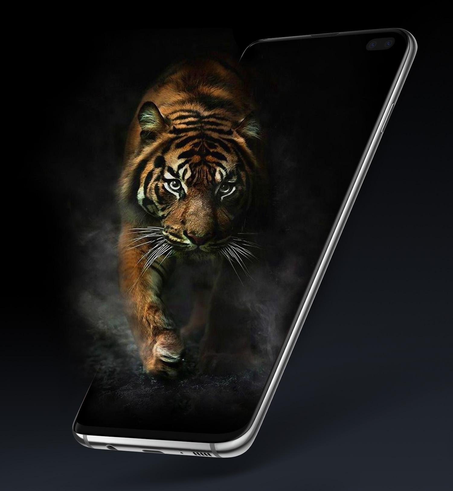 На экране телефона загрузить. Черный тигр Кишан. Тигр обои. Тигр на черном фоне обои. Живые обои тигры.